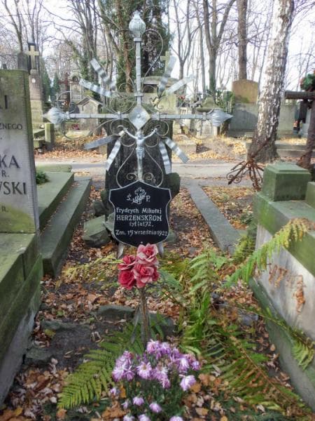 Zdjęcie grobu Frydrych Mikołaj Herzenskron (1)
