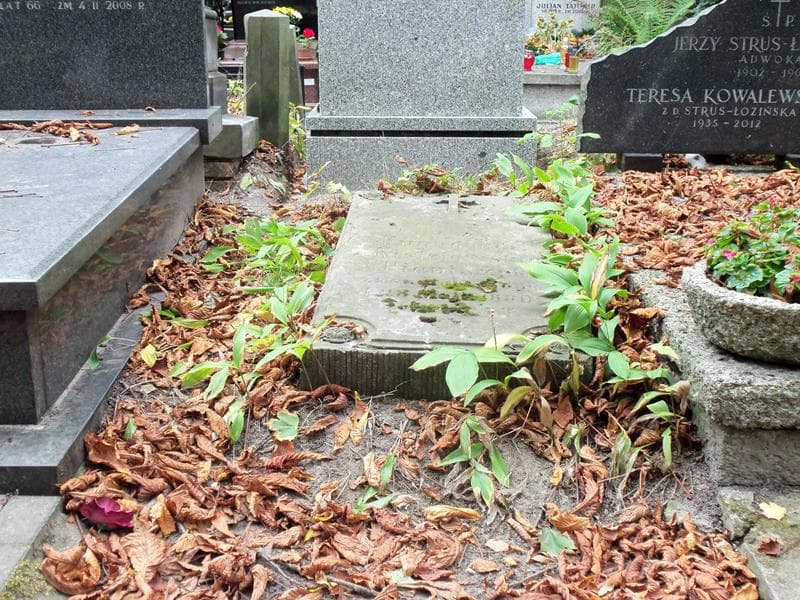 Zdjęcie grobu: Kunegunda Pieniążek