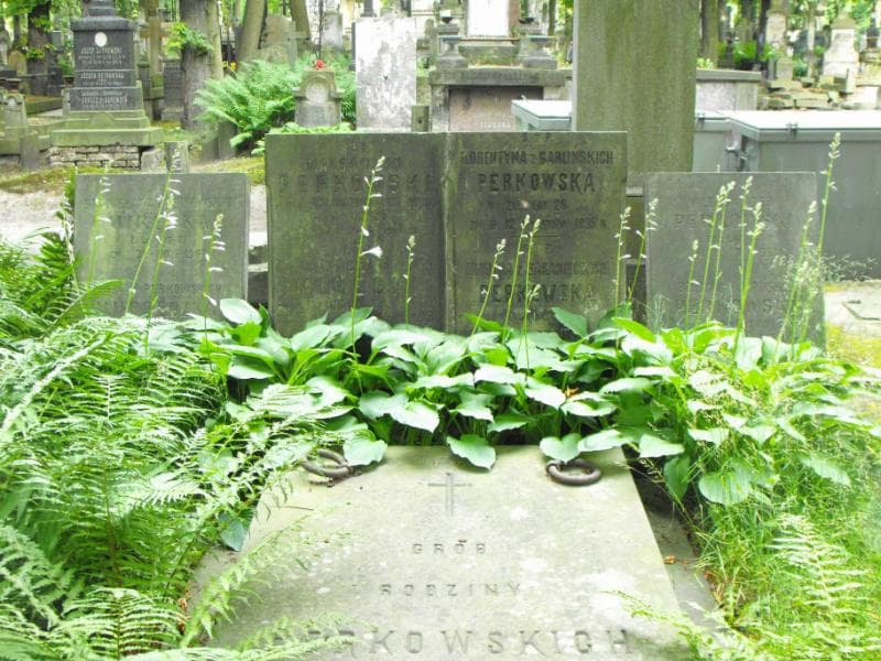 Zdjęcie grobu Maksymilian Perkowski (2)