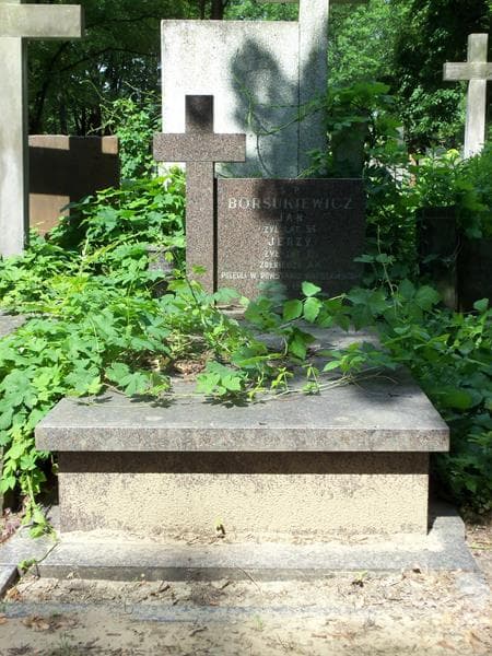 Zdjęcie grobu: Zygmunt Jaźwiński