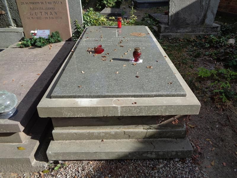 Zdjęcie grobu Edward Janusz Andrzejewski (1)