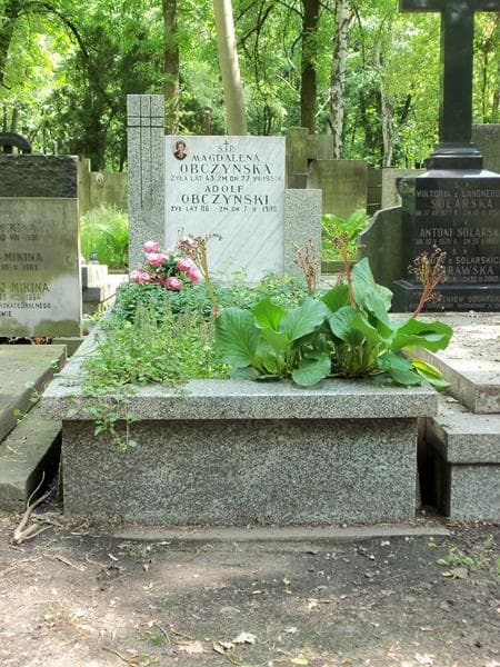 Zdjęcie grobu: Adolf Obczyński