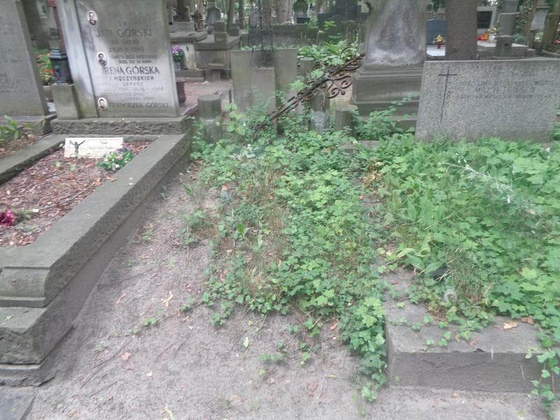 Zdjęcie grobu Anonim / Pole Grobowe (1)