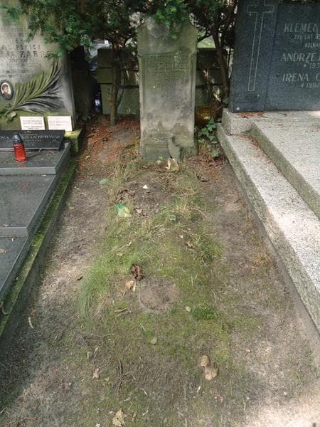 Zdjęcie grobu Antonina Bronisława Iwanowa (1)