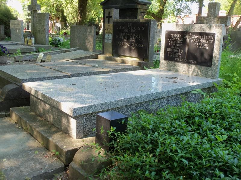 Zdjęcie grobu Leon Malanowski (1)