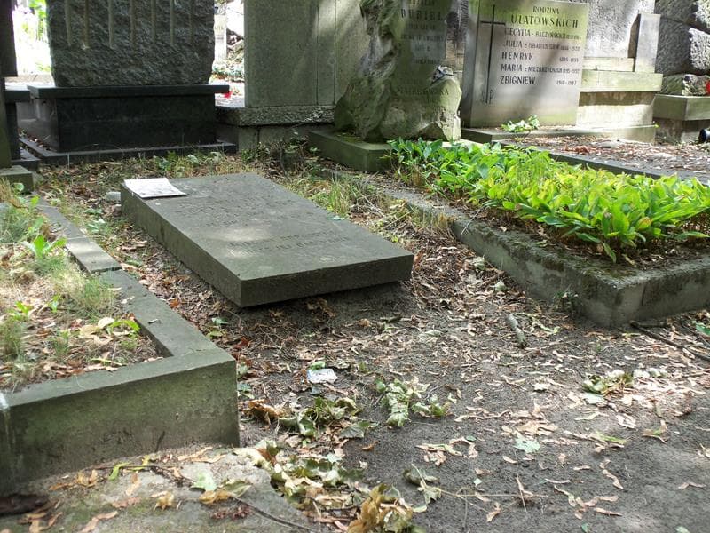 Zdjęcie grobu Zofia Iżycka (1)