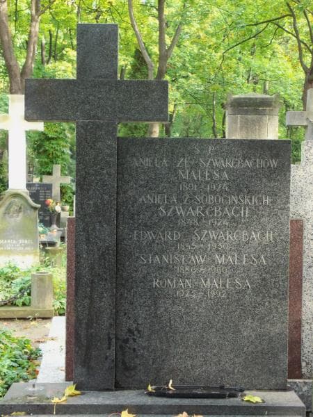 Zdjęcie grobu Aniela Malesa (2)