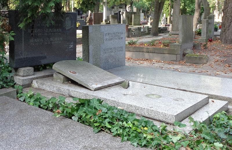 Zdjęcie grobu: Henryk Szlingwajn