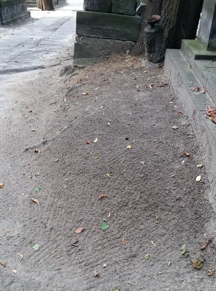Zdjęcie grobu Pole Grobowe (1)