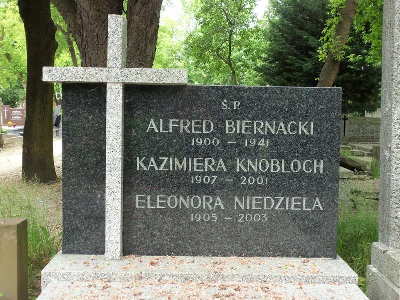 Zdjęcie grobu Kazimiera Knobloch (2)
