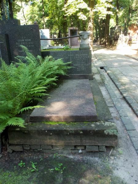 Zdjęcie grobu: Anna Aleksandra Jasińska