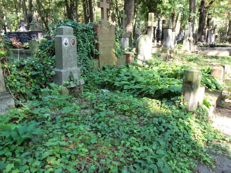 Zdjęcie grobu Antoni Arkadjusz Opęchowski (1)