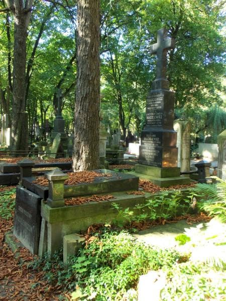 Zdjęcie grobu Amelja Maciejewicz (1)