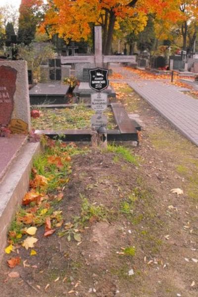 Zdjęcie grobu: Stanisława Sawicka