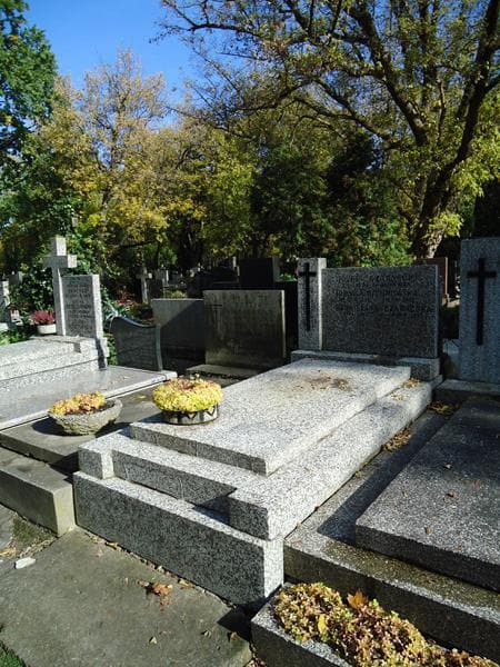 Zdjęcie grobu Bronisława Czarnecka (1)