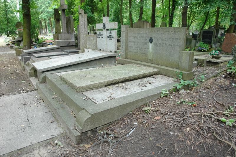 Zdjęcie grobu: Janina Lange