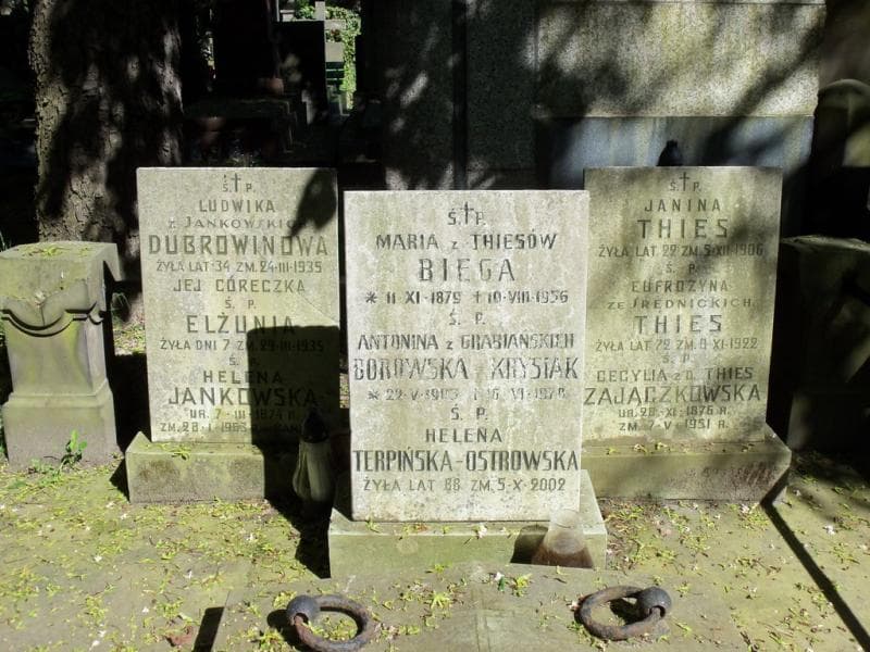Zdjęcie grobu Konstantyn Thies (2)