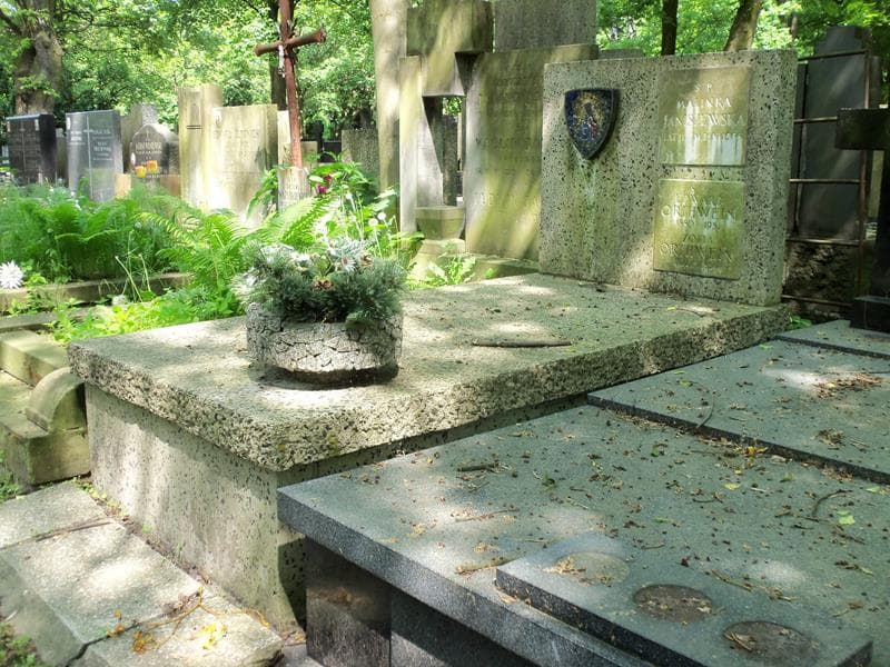 Zdjęcie grobu Malinka Janiszewska (1)