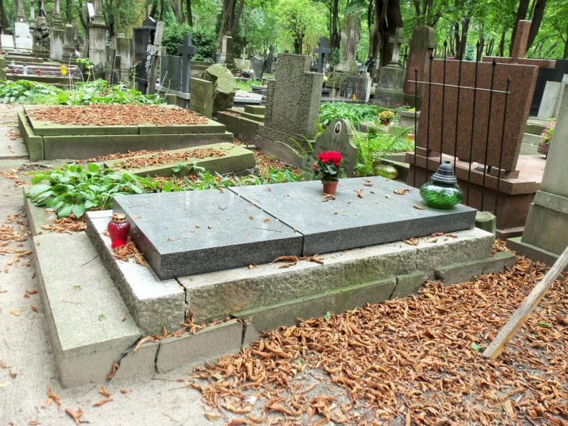 Zdjęcie grobu Afanazy Leszek (1)