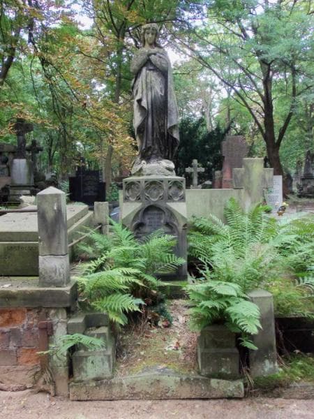 Zdjęcie grobu: Mikołaj Dobrzański