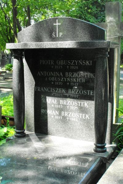 Zdjęcie grobu Antonina Brzostek (2)