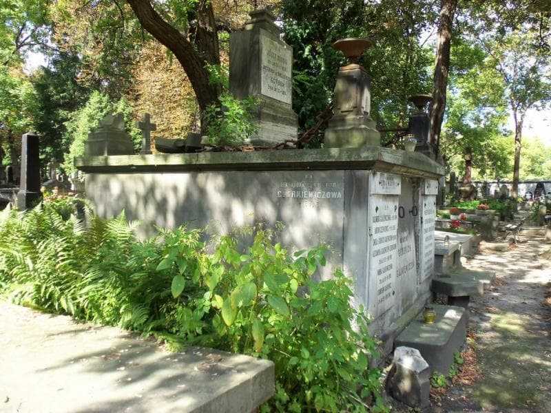 Zdjęcie grobu Zygmunt Marciński (2)