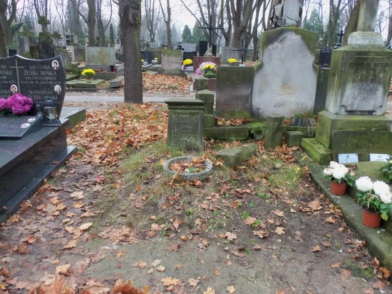 Zdjęcie grobu: Adolf - Michał Janowicz