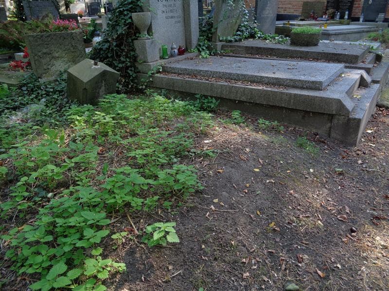 Zdjęcie grobu: Kazimierz Brożyński