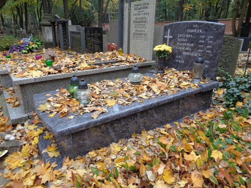 Zdjęcie grobu: Alicja Bodalska