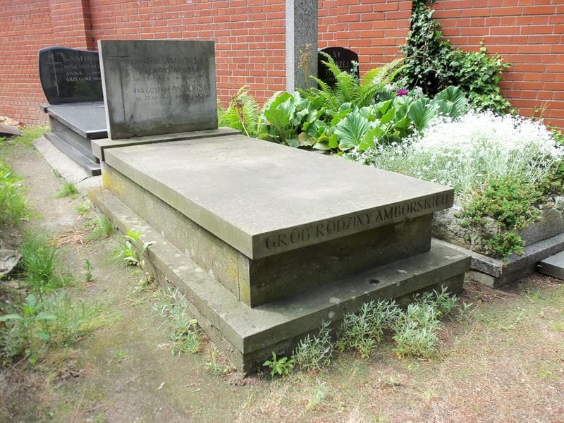 Zdjęcie grobu Krystyna Amborska (1)