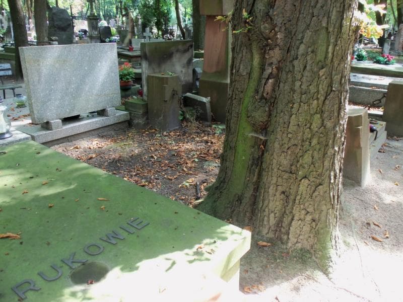 Zdjęcie grobu Pole Grobowe (2)
