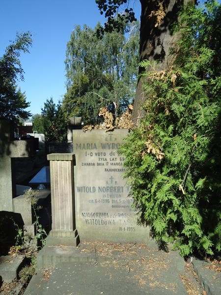 Zdjęcie grobu Witold Norbert Tański (2)