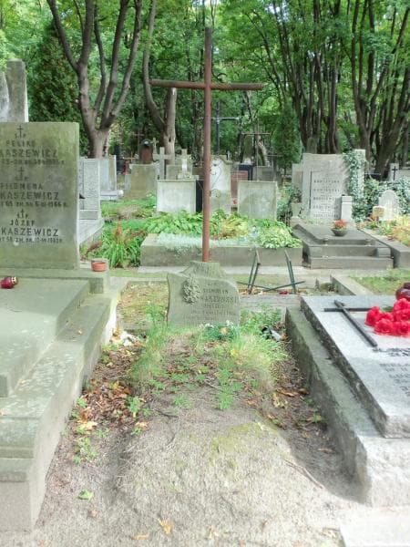 Zdjęcie grobu: Stanisław Warzyński