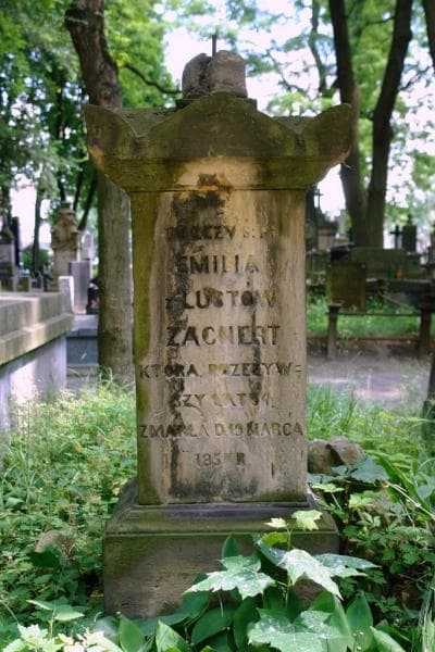 Zdjęcie grobu Emilia Zacnert (2)