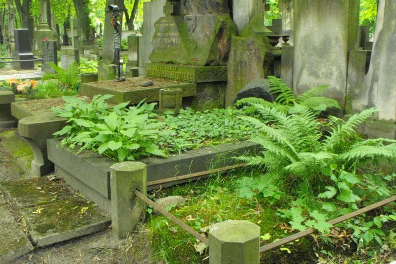 Zdjęcie grobu: Zdzisław Daubek