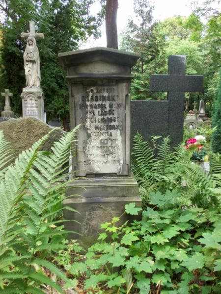 Zdjęcie grobu Zofia Laskowska (1)