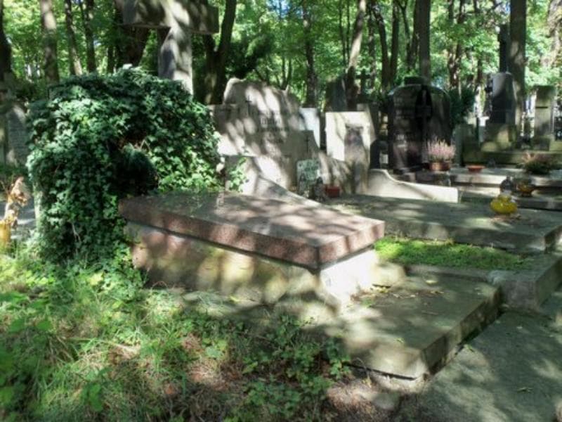 Zdjęcie grobu Aniela Borowska (1)