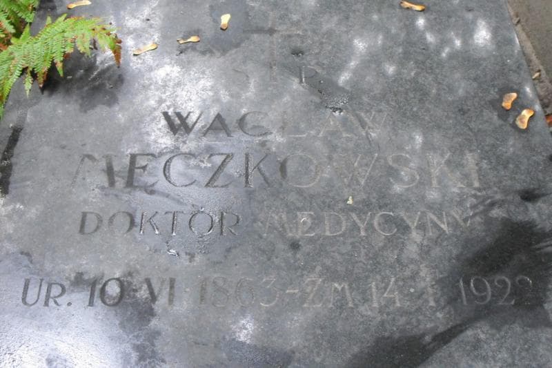 Zdjęcie grobu Wcław Męczkowski (2)