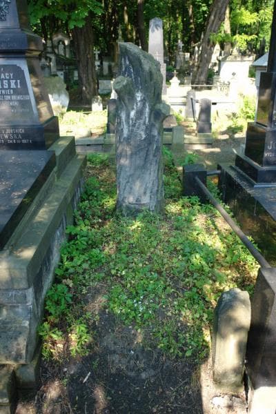 Zdjęcie grobu Marja Dąmbska (1)