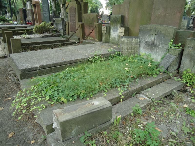 Zdjęcie grobu Jerzy Dolnicki (1)
