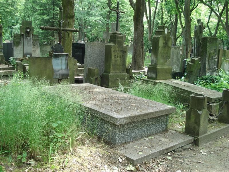 Zdjęcie grobu Jerzy Grzybowski (1)