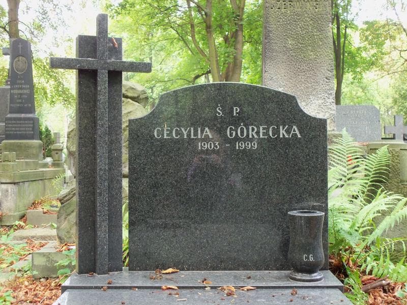 Zdjęcie grobu Cecylia Górecka (2)
