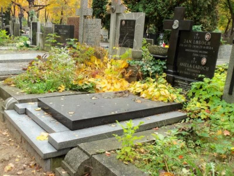 Zdjęcie grobu Aniela Laboch (1)