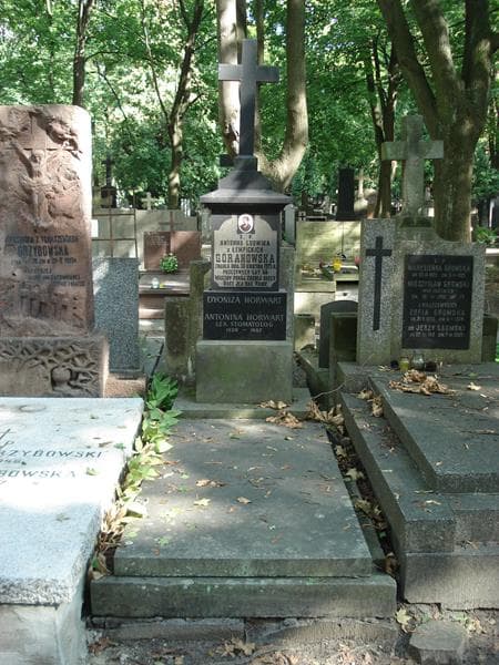 Zdjęcie grobu Antonina Horwart (1)