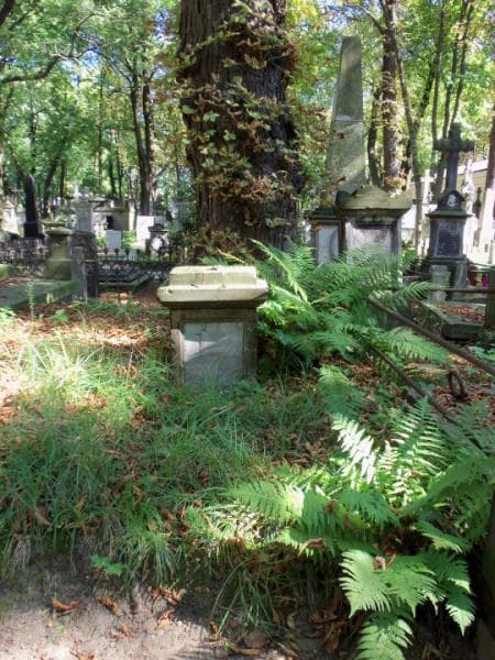 Zdjęcie grobu: Nadzieja Timofiejow