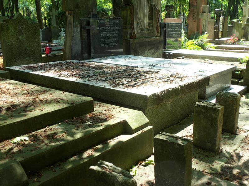 Zdjęcie grobu Emil Ziegler (1)