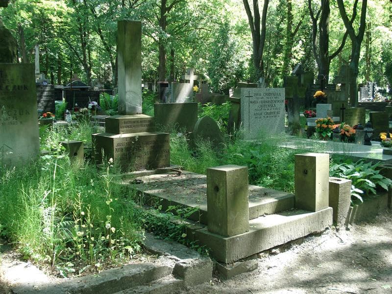 Zdjęcie grobu Helena Krzywicz Nowohońska (1)
