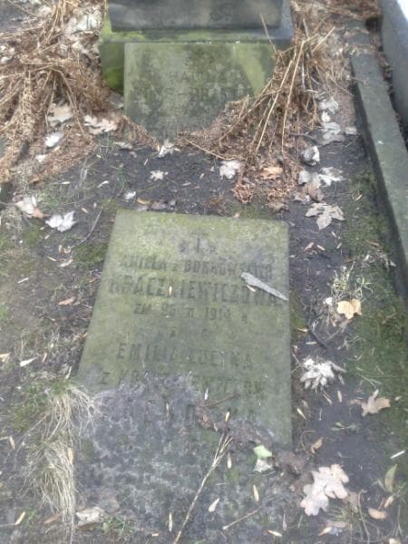 Zdjęcie grobu Wincenty Kraczkiewicz (2)