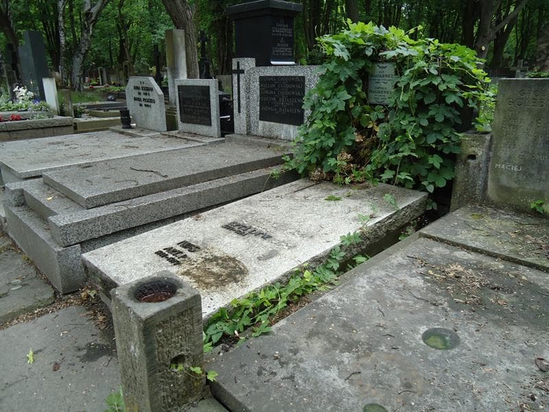 Zdjęcie grobu Jan Iwaszkiewicz (1)