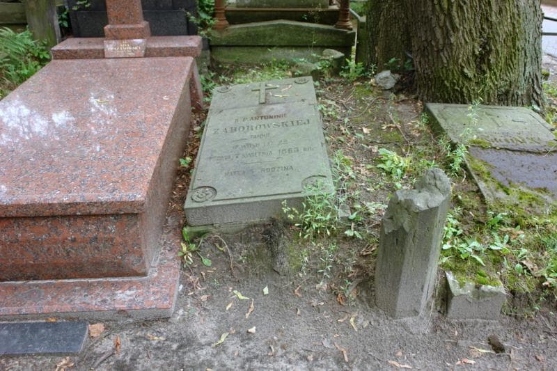 Zdjęcie grobu Antonina Zaborowska (1)